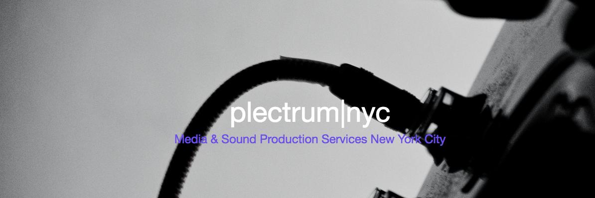 plectrumnyc's profile banner image