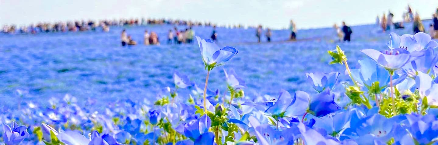 simocchi3's profile banner image