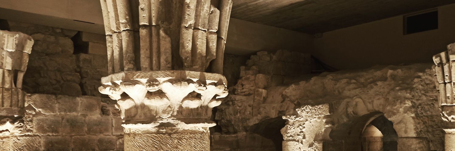 chapomp's profile banner image