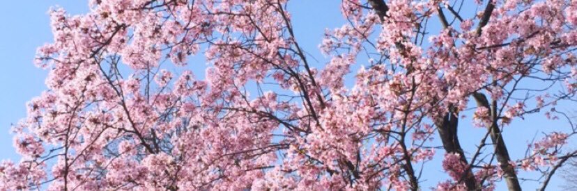 Lotti_Fnk's profile banner image