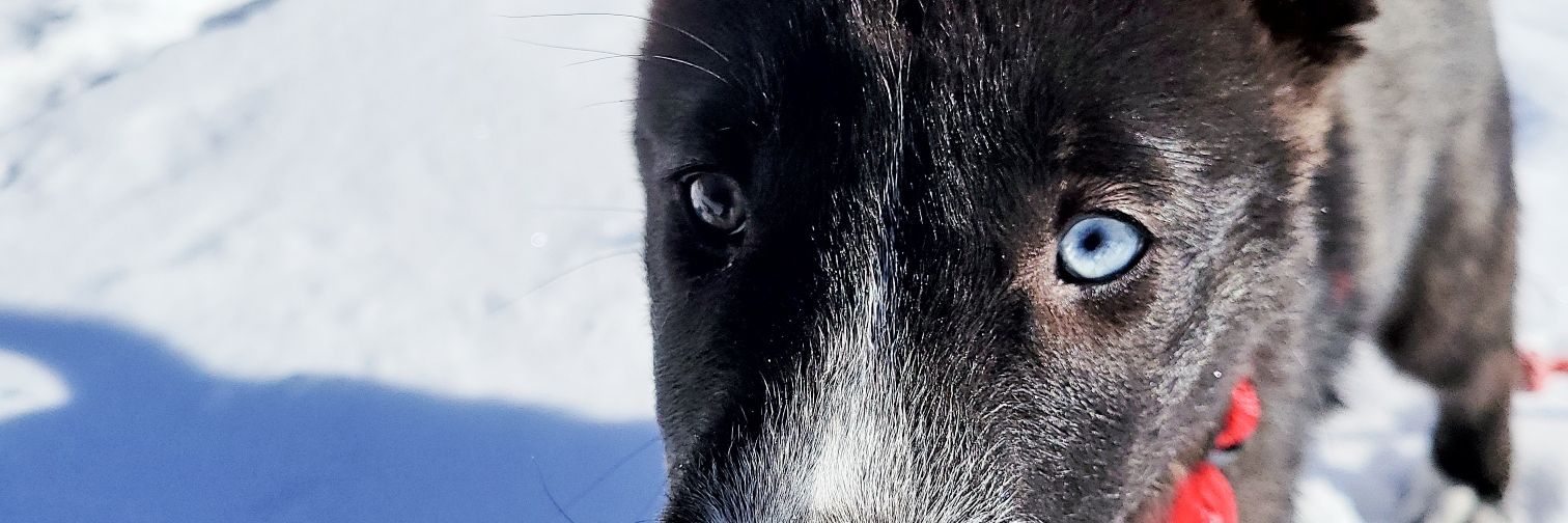 ScorpioTino's profile banner image