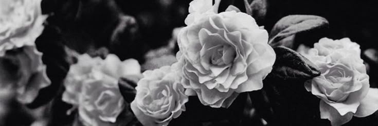 𝗬𝗔𝗦𝗜𝗡𝗧𝗔. banner