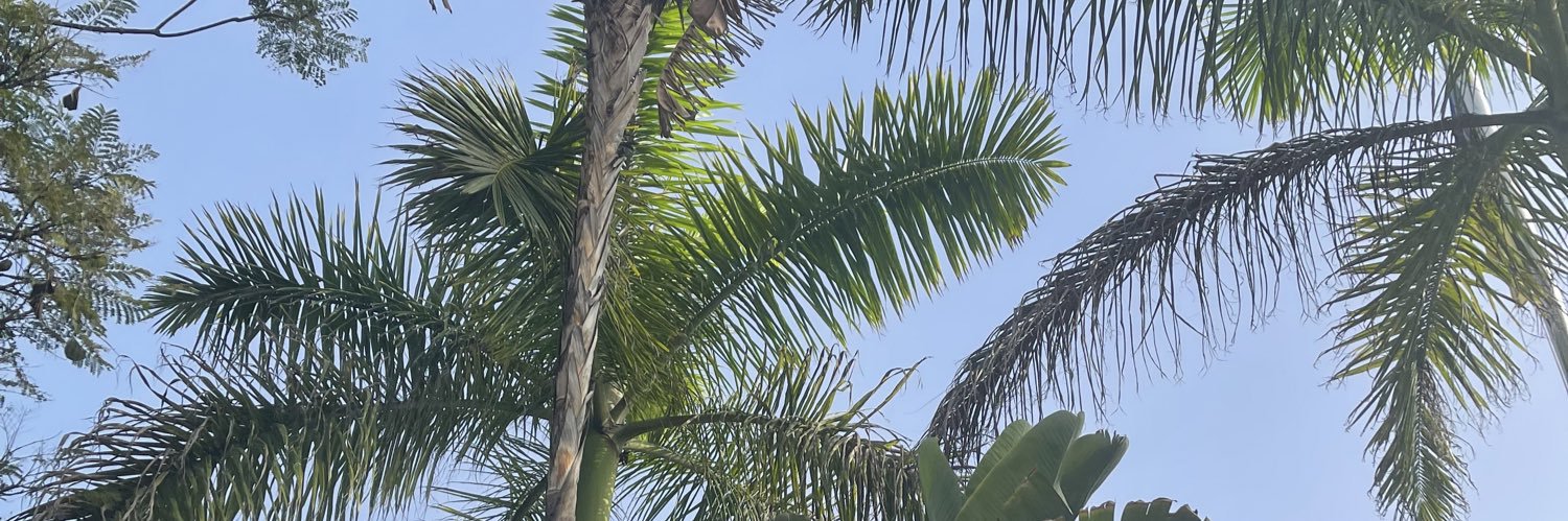 alishalaing_'s profile banner image