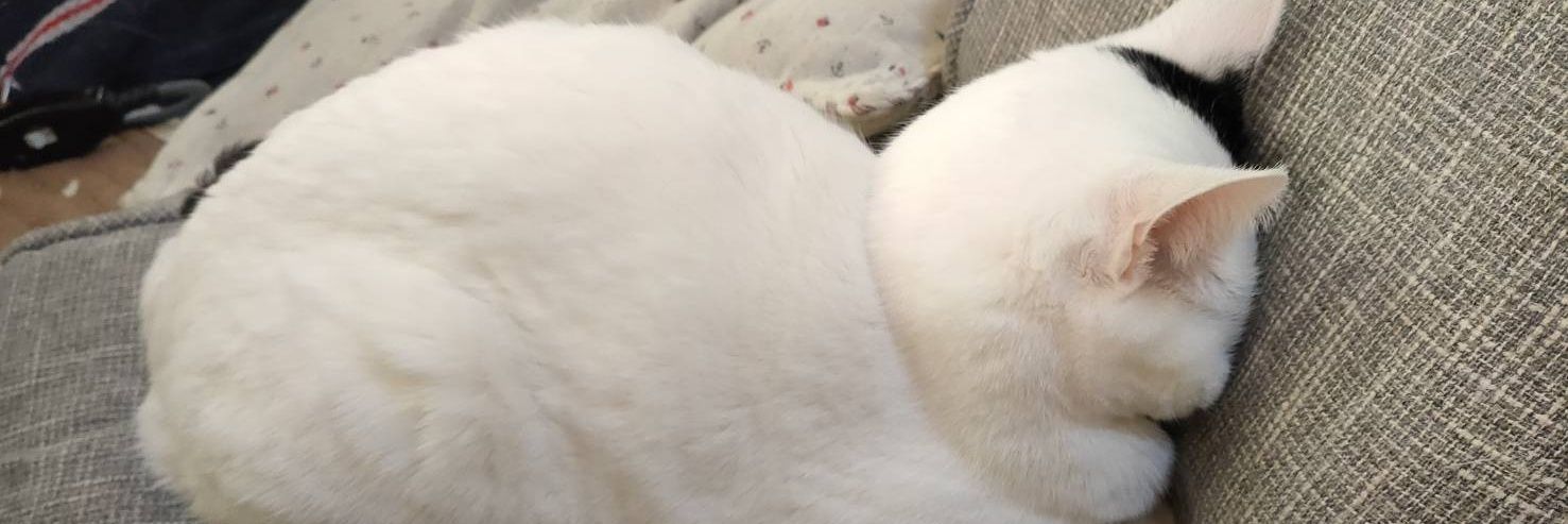 k__on___'s profile banner image