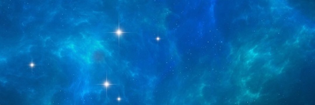 Long Trinh banner