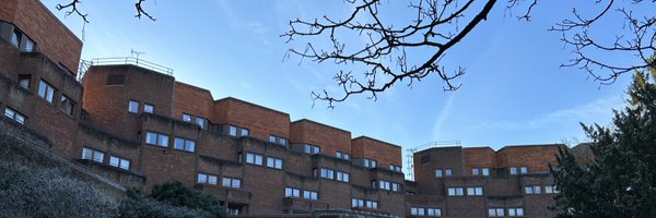 RobinsonCamb Profile Banner