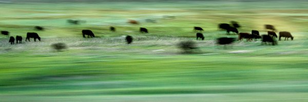 KevinJBeaty Profile Banner