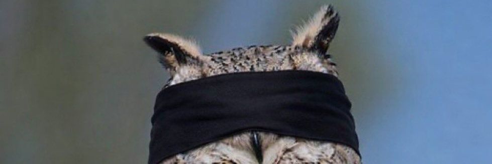 MammanThoughts's profile banner image