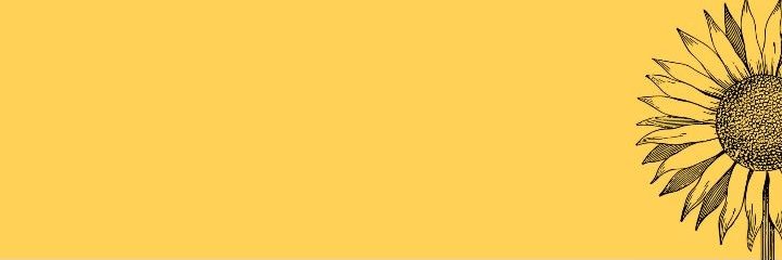 0xewcarr's profile banner image