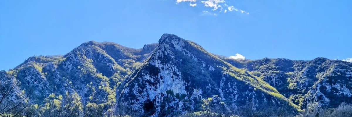 Parcoaurunci's profile banner image
