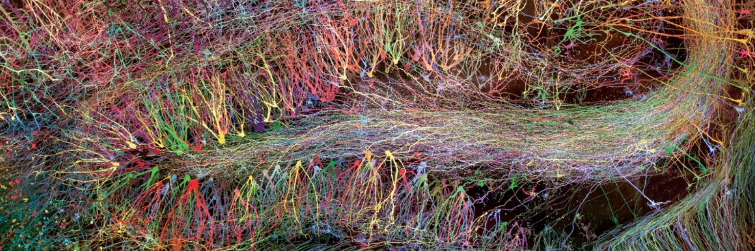 Christina La Gamma, M.D. banner