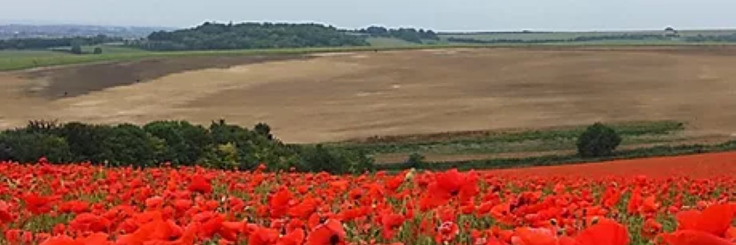 🦔 Freda 🦔 banner