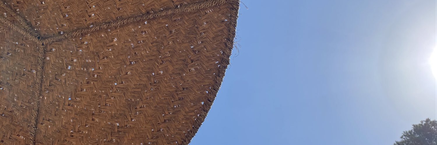 InesLosfeld's profile banner image