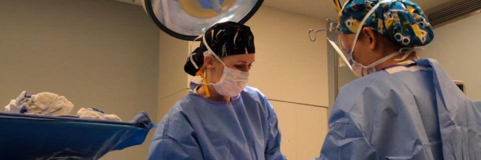 DrLCrawford's profile banner image