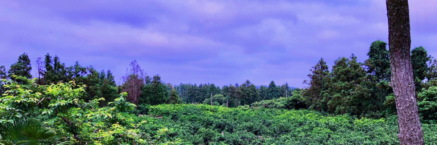 xJanvisser's profile banner image