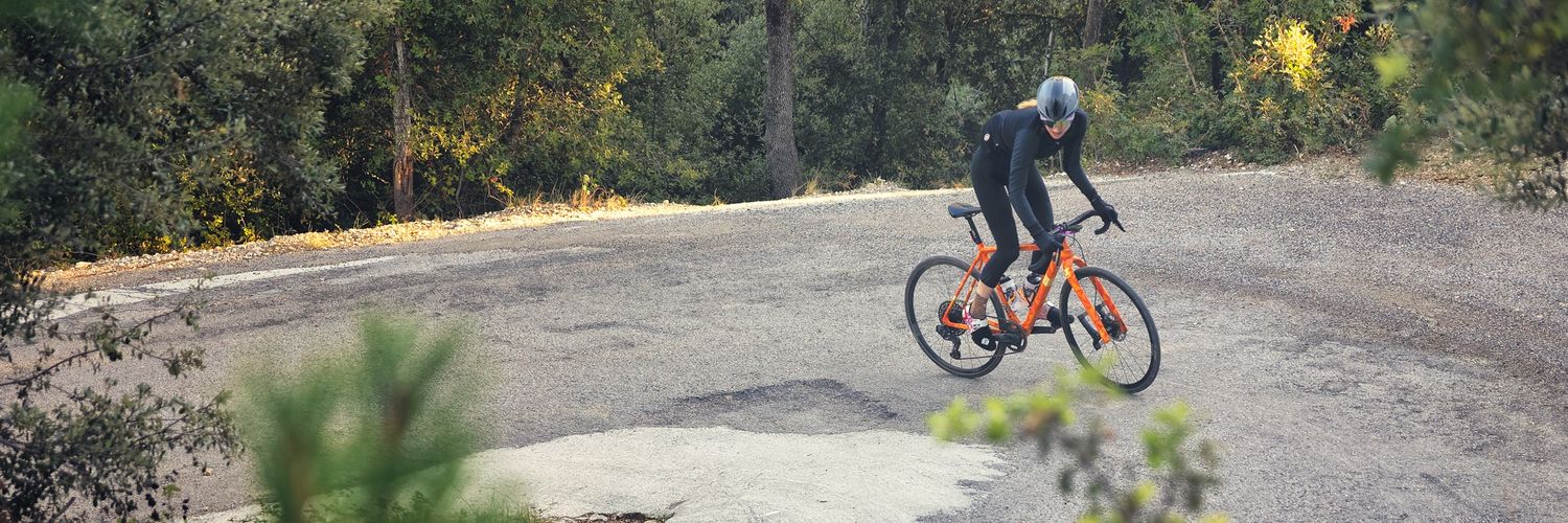 Eloise du Luart banner