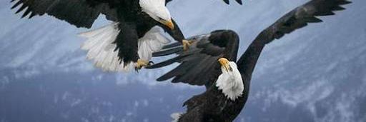 HENDRI_SAS's profile banner image