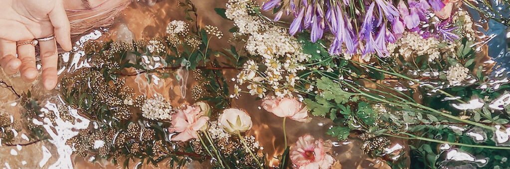meowromanticss's profile banner image