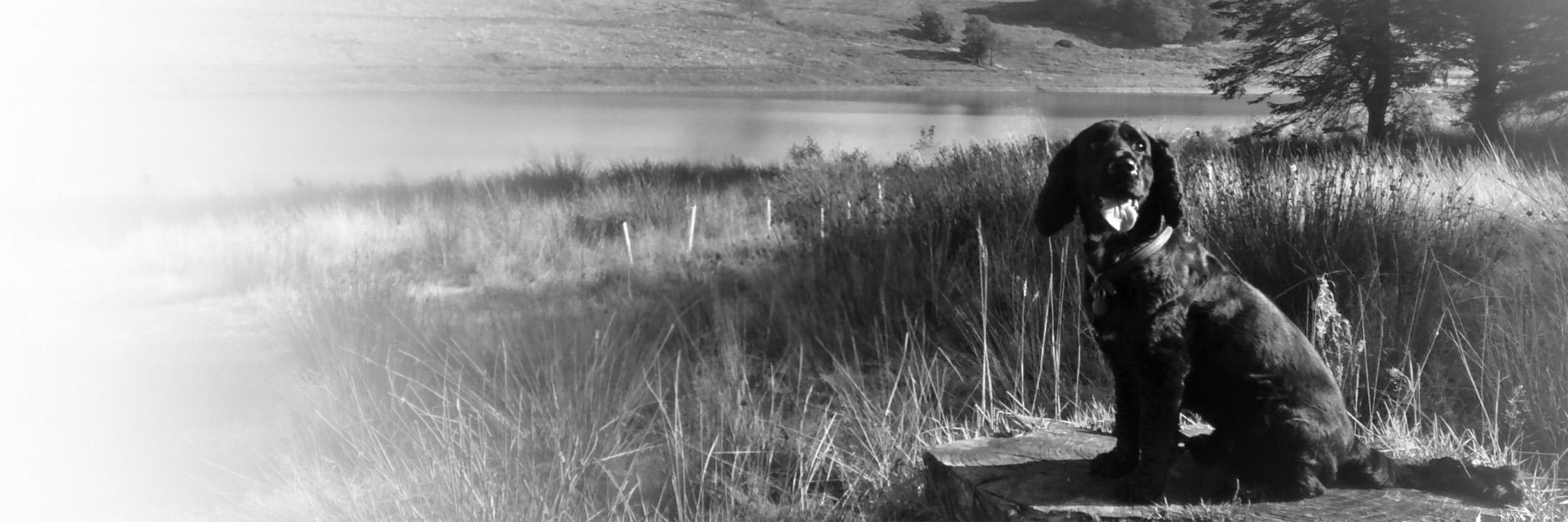 bobbissalon's profile banner image