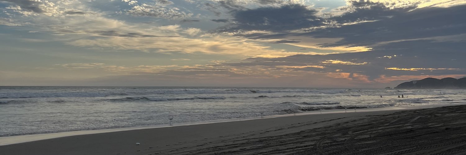 DVS_94's profile banner image