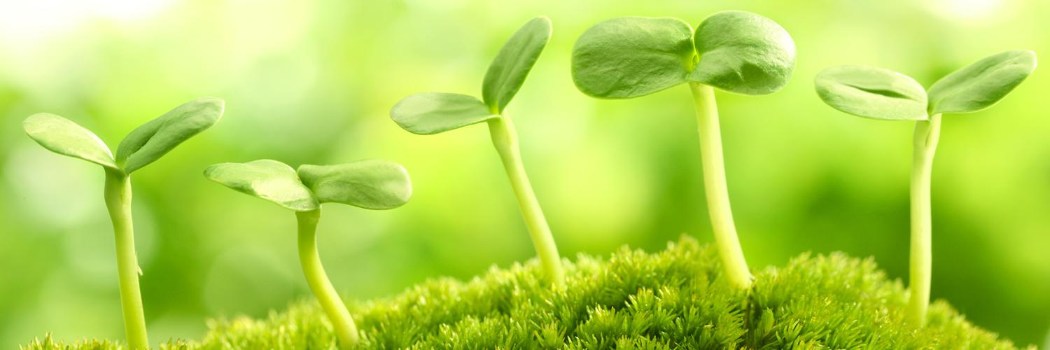 cem_ambiente's profile banner image