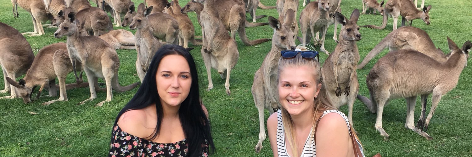 amy_bean2's profile banner image