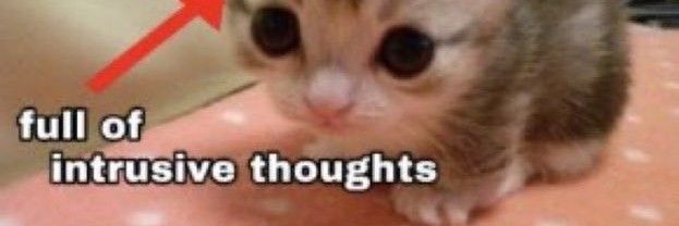 ayam keju kalem banner