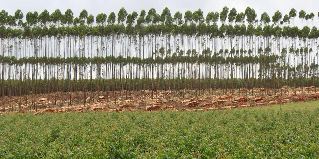 ICFR_SA's profile banner image