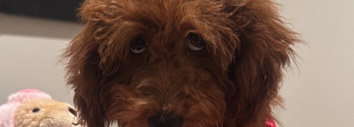 k0ldassk's profile banner image