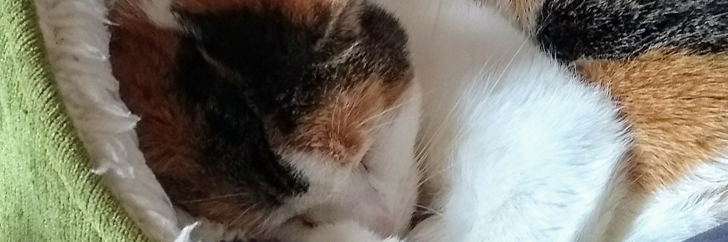 lipndebz's profile banner image