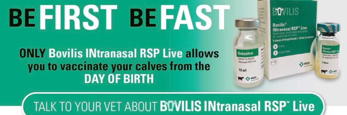 MSD Animal Health - Livestock banner