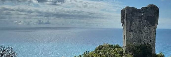 NKFichtl's profile banner image