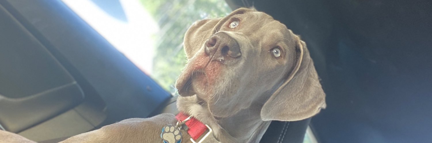 jasfromsc's profile banner image
