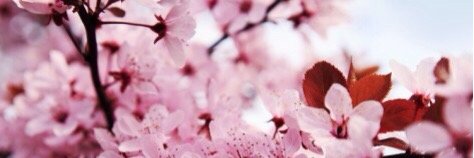 staceyabd's profile banner image