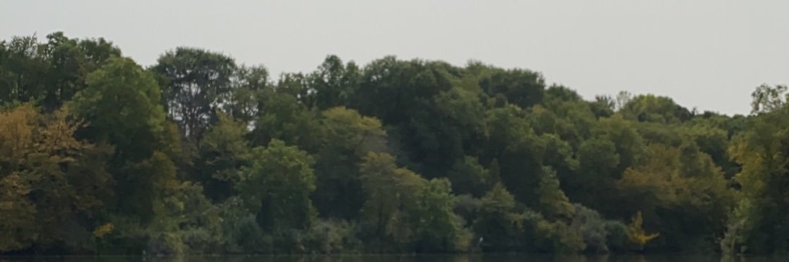 MorganLesley1's profile banner image