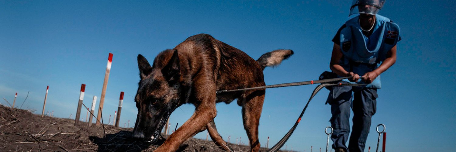 NPA Mine Action and Disarmament banner