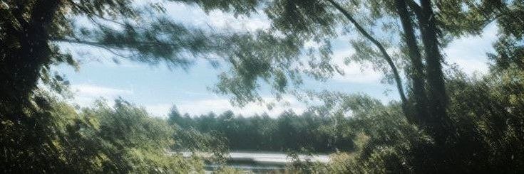 tmkbuss's profile banner image