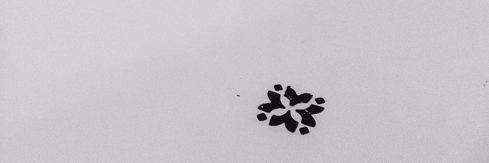 cafeletraset's profile banner image