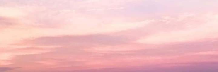 Eileen Meneses banner