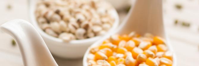 HarvestIFNH's profile banner image