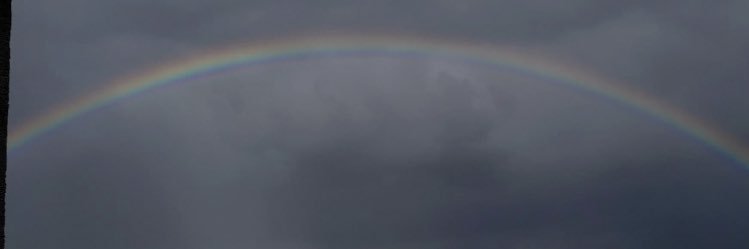 willoube's profile banner image