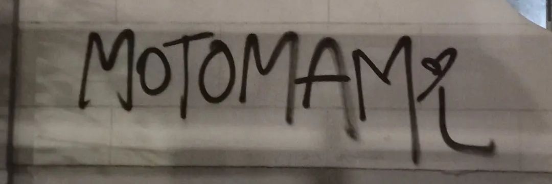 Cami__Solana's profile banner image