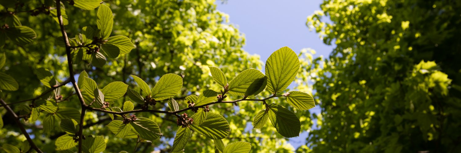 Washington Park banner