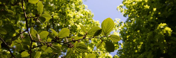 ExploreWAPark Profile Banner