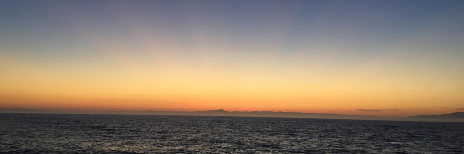 Dr. Ally Pasulka banner