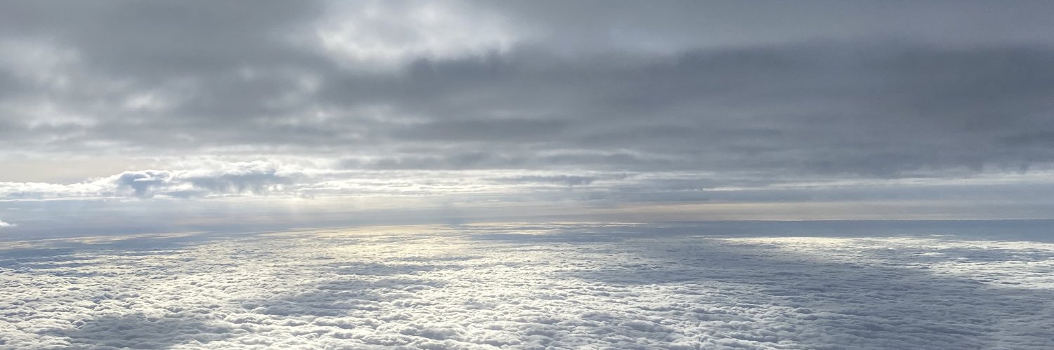 María Angélica banner