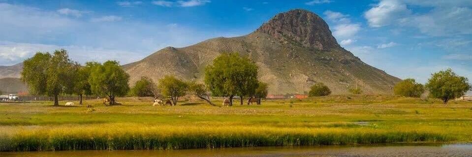 Дондогдорж Эрдэнэбат banner