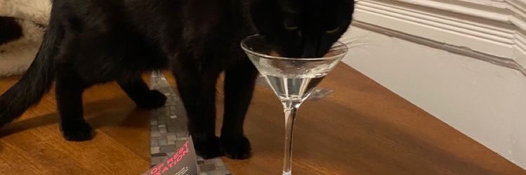 gabriela banner