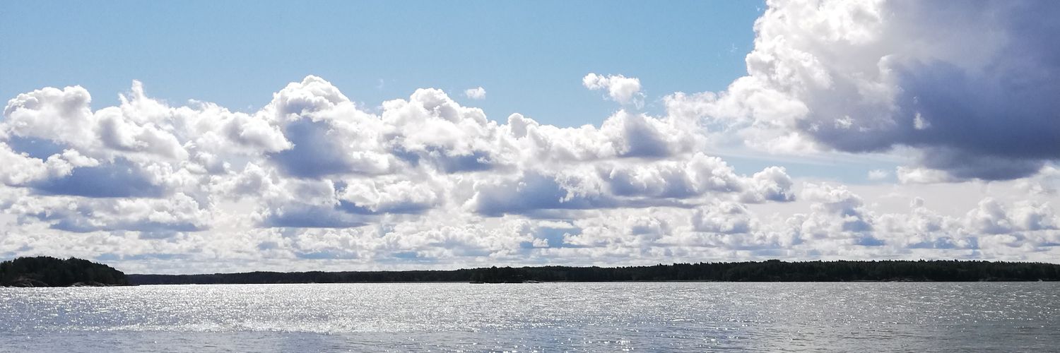 EmAKAReindeer's profile banner image