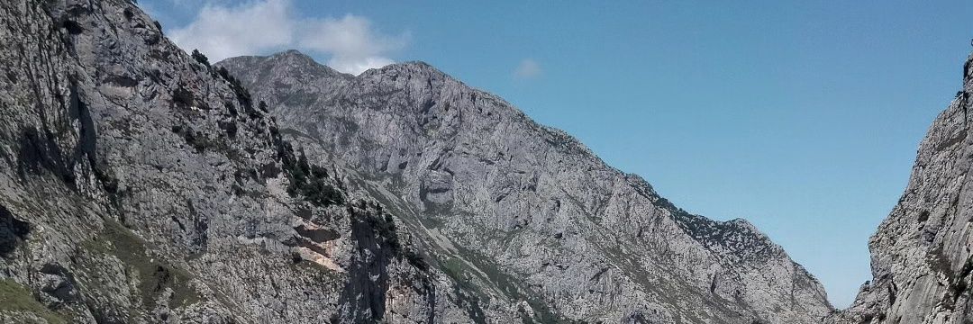 edudecorleone's profile banner image